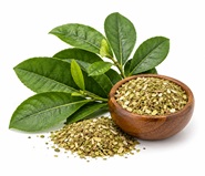 Yerba Maté
