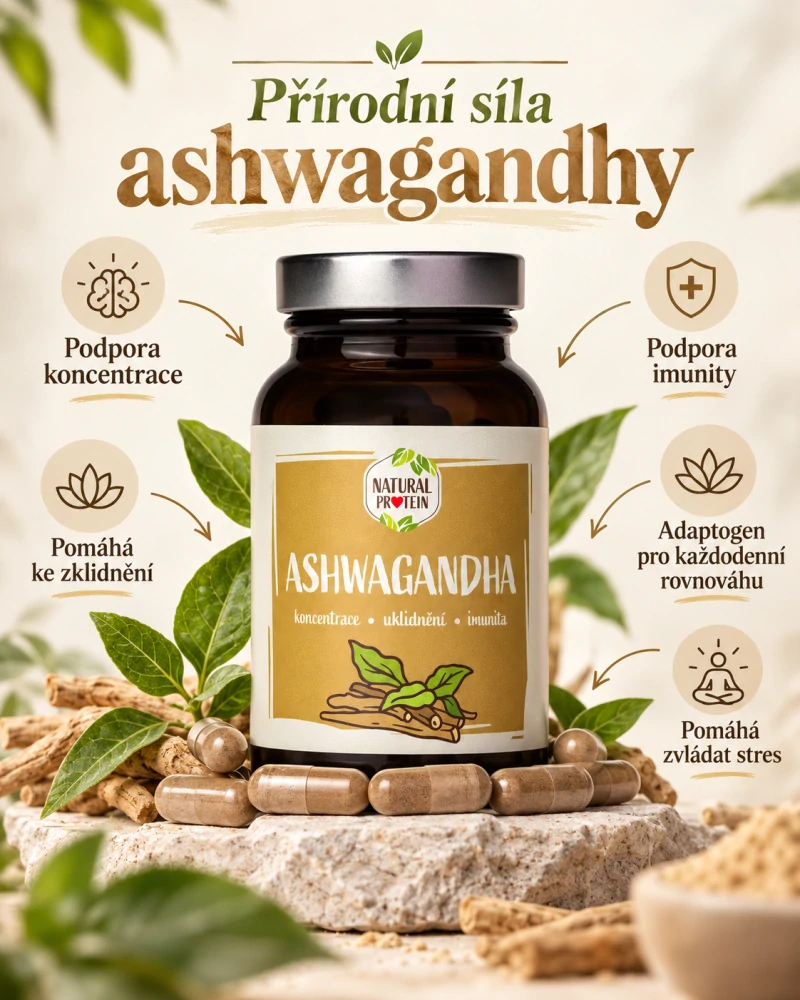 Ashwagandha kapsle – 500 mg extraktu, 60 kapslí