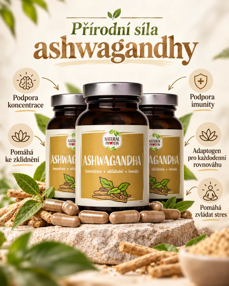 Ashwagandha kapsle – 500 mg extraktu, 60 kapslí