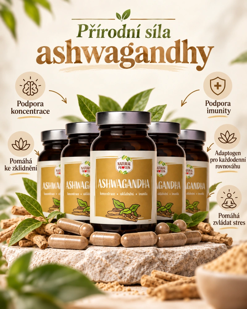Ashwagandha kapsle – 500 mg extraktu, 60 kapslí