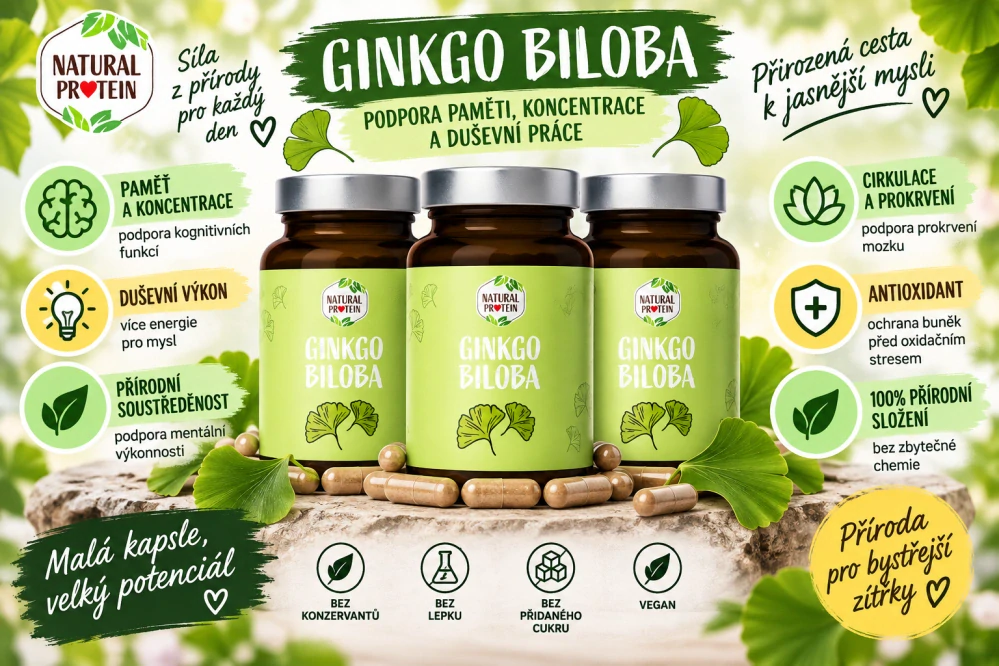 Ginkgo Biloba