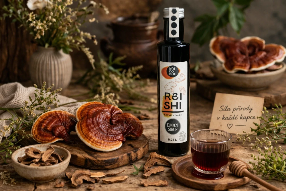 REISHI funkční sirup 250 ml