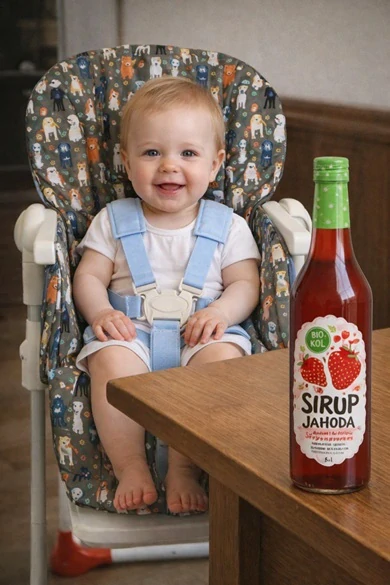 Náhradní potah do jídelní židličky pejsci